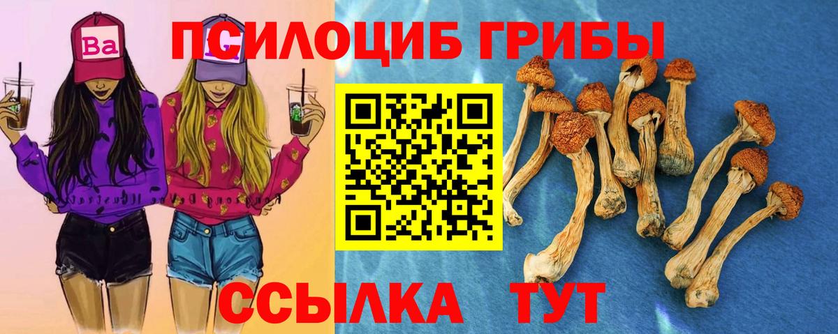 Галлюциногенные грибы Magic Shrooms Красный Сулин