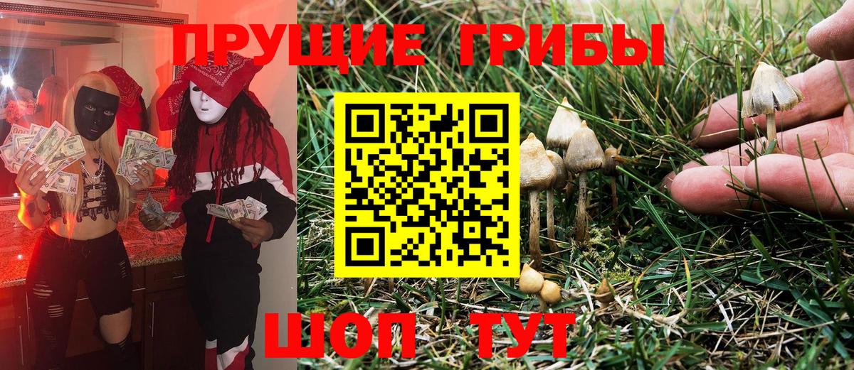 Красный Сулин  Псилоцибиновые грибы Magic Shrooms  Вход с VPN 